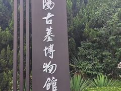 -洛阳古墓博物馆