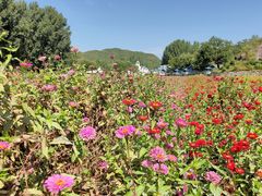 -紫海香堤香草艺术庄园