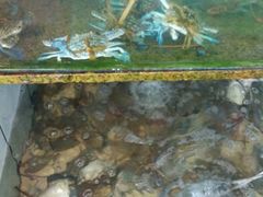 android_upload_pic-浪琴湾尾角仔海鲜坊