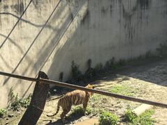 -保定市动物园