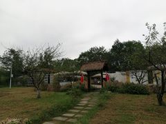 -桤木河湿地公园