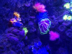 -成都浩海立方海洋公园