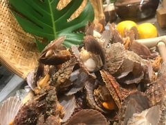 -北京希尔顿逸林酒店-逸轩西餐厅-自助餐厅