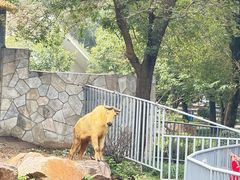 -无锡动物园·太湖欢乐园