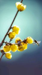 -i Style潮牌美发沙龙