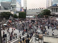 -涩谷全向十字路口