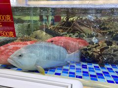 -欧记·龙城港(欣都店)