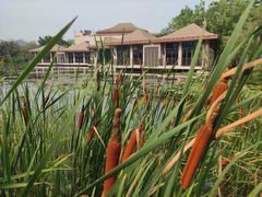 -广州都喜泰丽温泉度假酒店