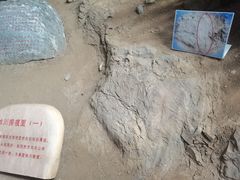 -中国第四纪冰川遗迹陈列馆