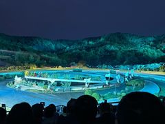 -鼎盛王朝康熙大典实景演出
