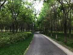 -东郊湿地公园