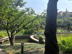 -上海瑞金洲际酒店·宴会厅
