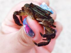 -东戴河风景区-止锚湾