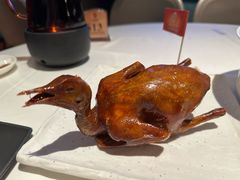 -侨美食家·40年地道粤菜(珠江新城店)