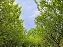 -秀丽东方
