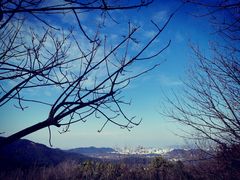 -龙井壹号·茶缘山景宴(龙井村店)