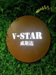 -V-STAR威斯达•高级私人定制