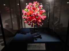 -四川大学博物馆