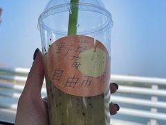 -野草莓自由市场