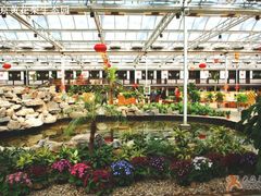 大厅-龙凤山庄(永定镇店)