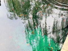 -环城公园