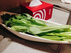 茼蒿-海底捞火锅(铂澜大象城店)