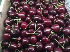 -上海龙吴水胜海发市场