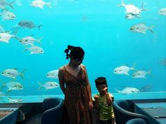 -瑞德姆美人鱼海底演艺主题餐厅(亚龙湾店)