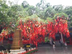 -国恩寺