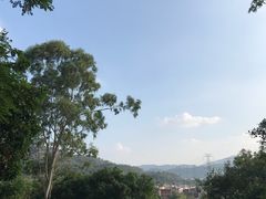 -云洞岩风景区