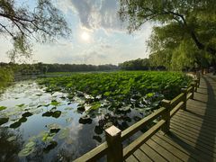 -长春市南湖公园