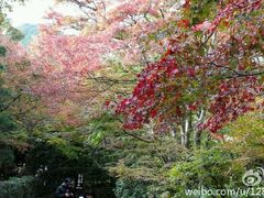 -常寂光寺