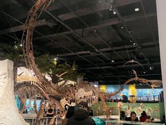 -国家自然博物馆