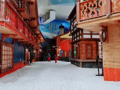 -湘江欢乐城欢乐雪域