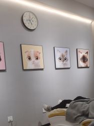 -洗脸猫·洗脸吧