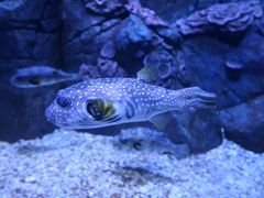 -成都浩海立方海洋公园