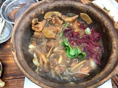 -广宁炭炉鸡煲·富临门饭店