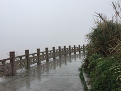 -洋山深水港