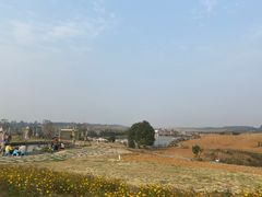 -空港花田景区
