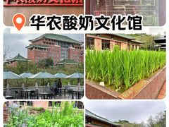 -华农酸奶文化馆
