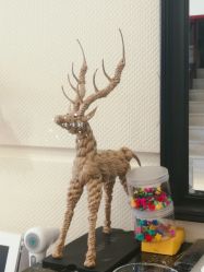 -Hello Lady发型设计