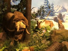 -陕西自然博物馆