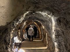 -八奇洞景区