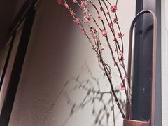 -小隐人家(乐松店)