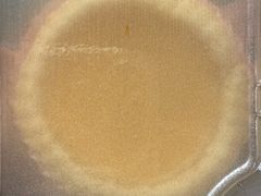 -香港深仔记茶餐厅(东门店)