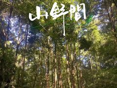 -凤栖山