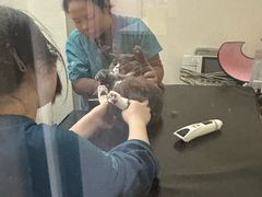 -联合动物医院(光谷诊疗中心)