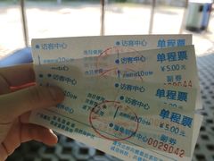 -广东惠东海龟国家级自然保护区