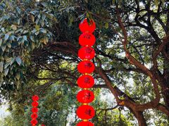 -超山青莲寺