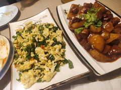 -琴早英子菜馆(古田路店)